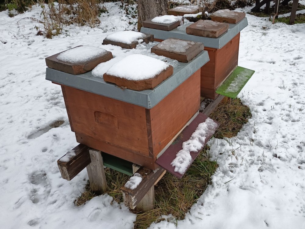 IMG_Bienenstock im Winter2_b